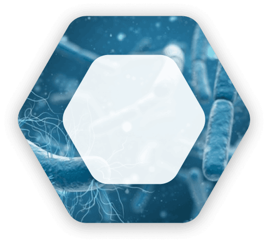 Bakteriyalar (Bacteria)