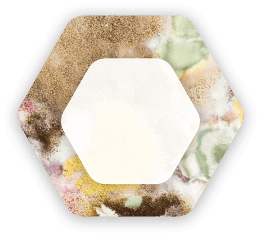 Filamentli zambrug‘lar (Filamentous fungi)