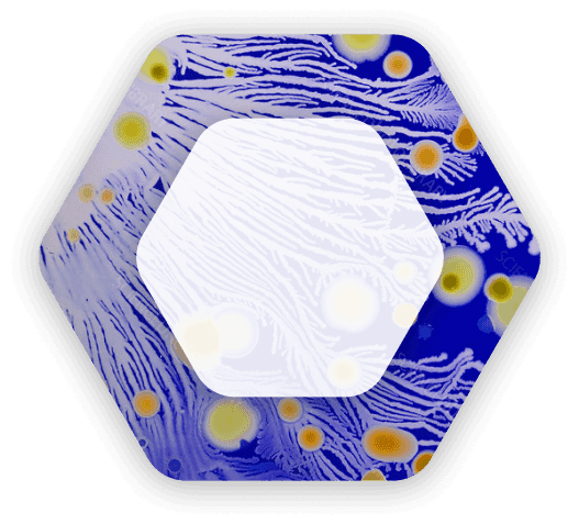 Aktinomitsetlar (Actinomycetes)
